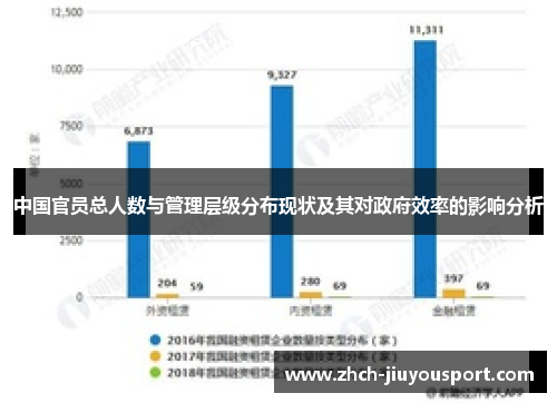 中国官员总人数与管理层级分布现状及其对政府效率的影响分析