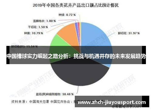 中国棒球实力崛起之路分析：挑战与机遇并存的未来发展趋势